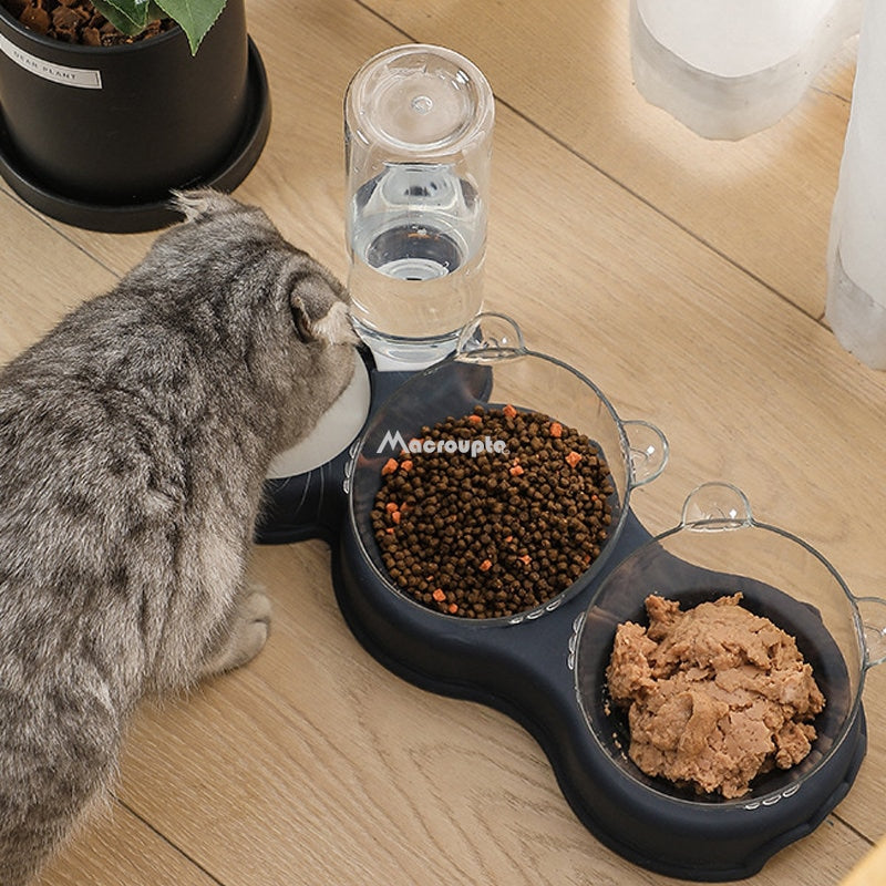 Pet Automatic Feeder 3-in-1