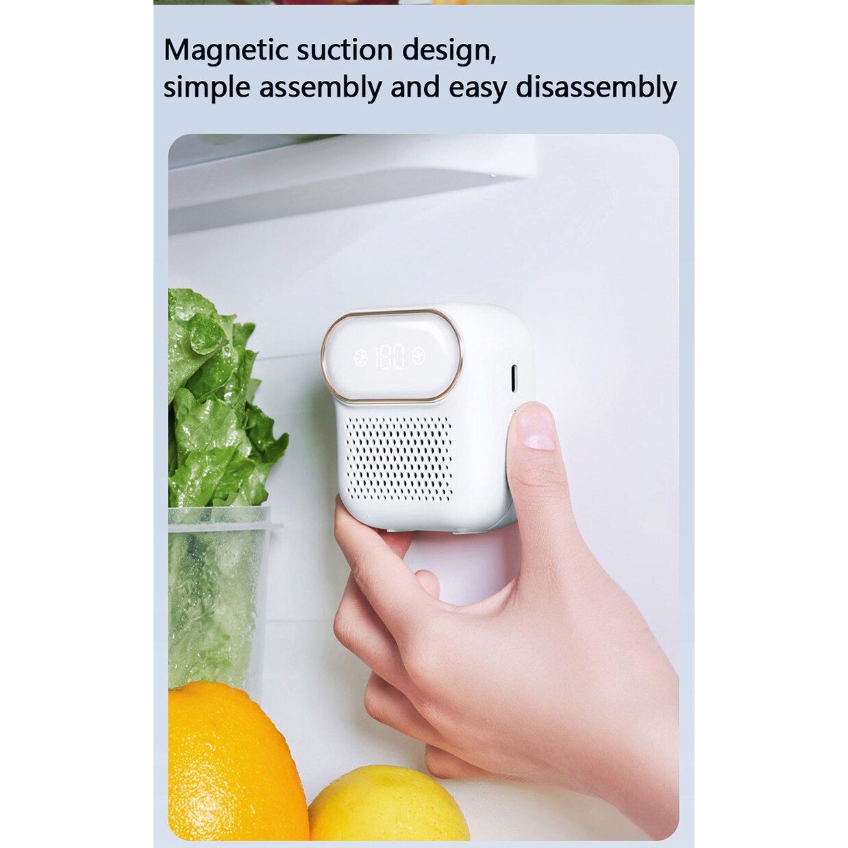 Refrigerator Deodorizer