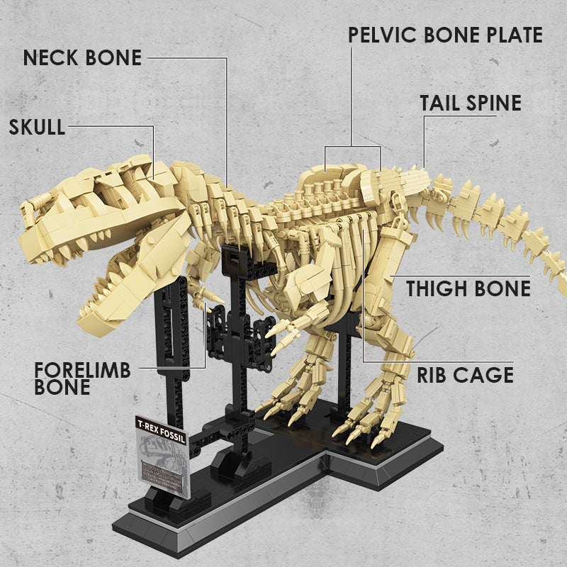 Викопні будівельні блоки динозаврів T-rex